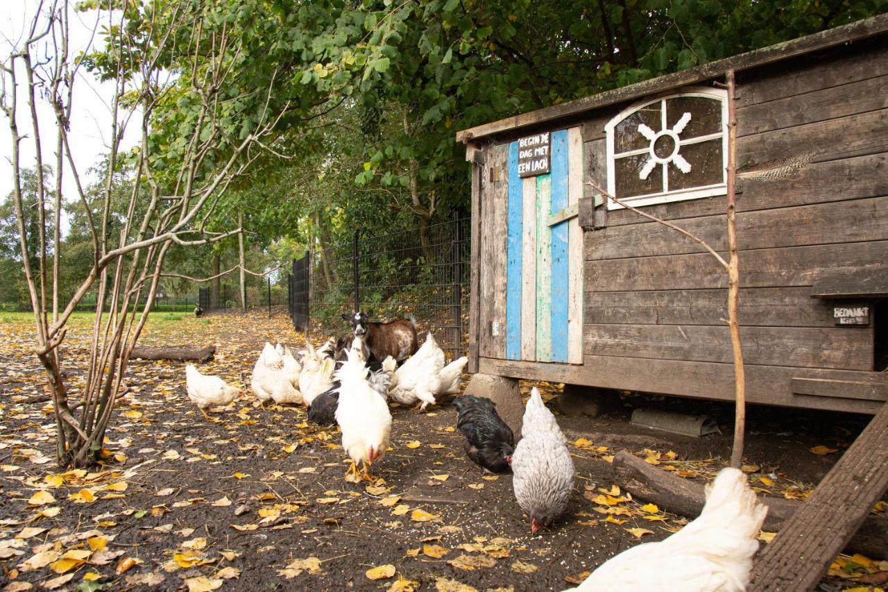 Herberg De Appelgaard Barneveld Exteriör bild