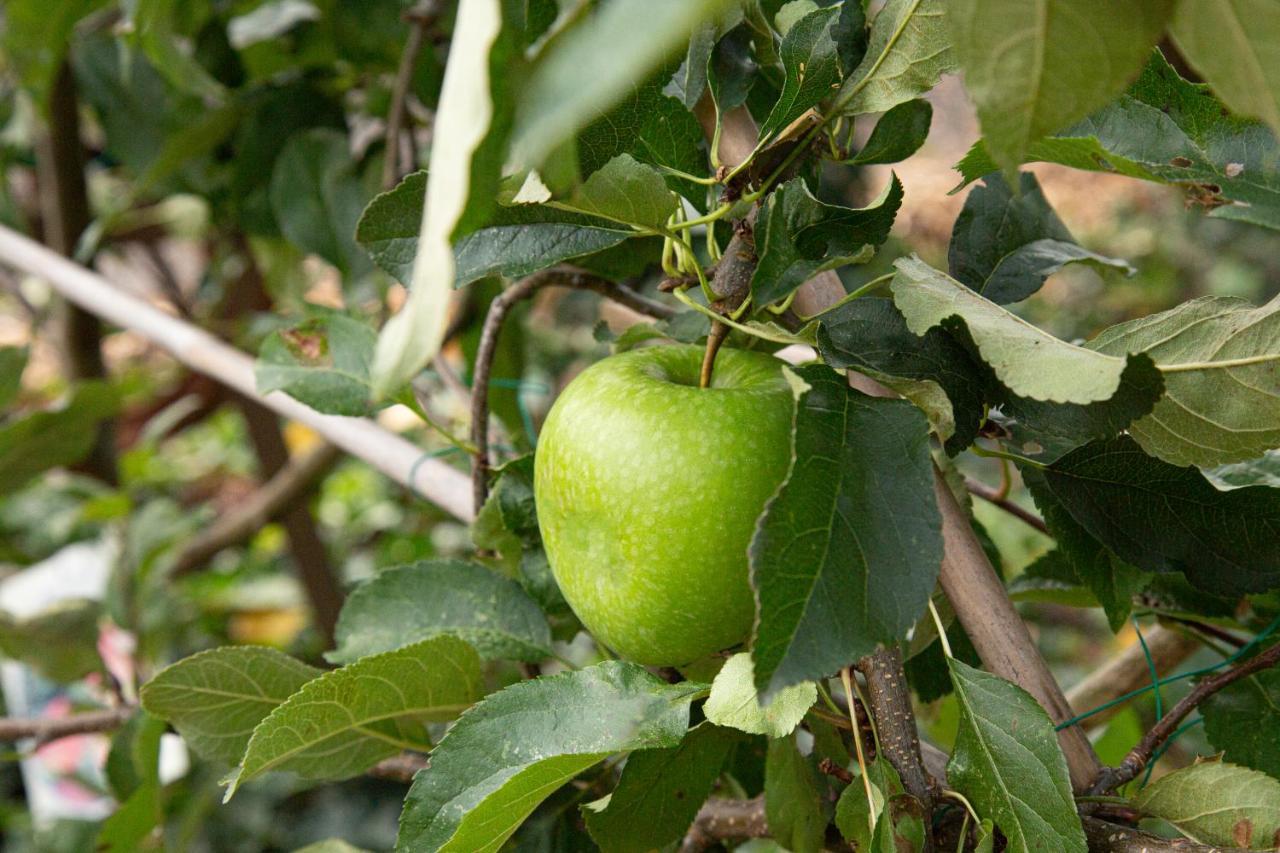 Herberg De Appelgaard Barneveld Exteriör bild